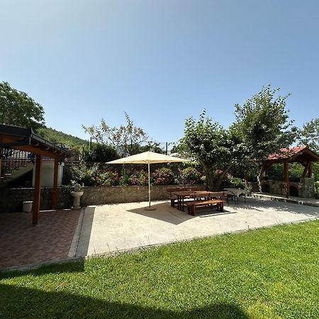 Apartmani Stanisic Čanj Extérieur photo