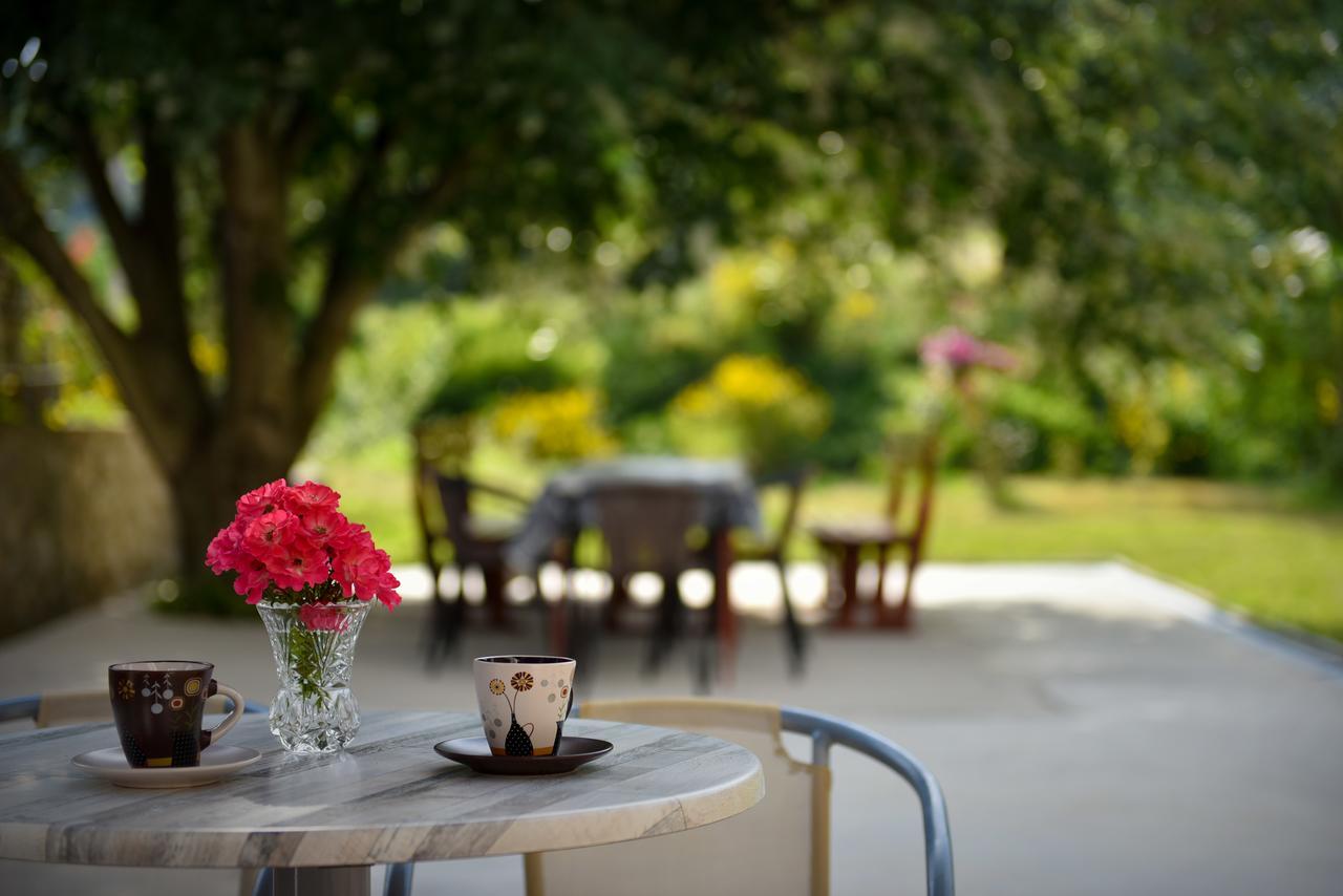 Apartmani Stanisic Čanj Extérieur photo